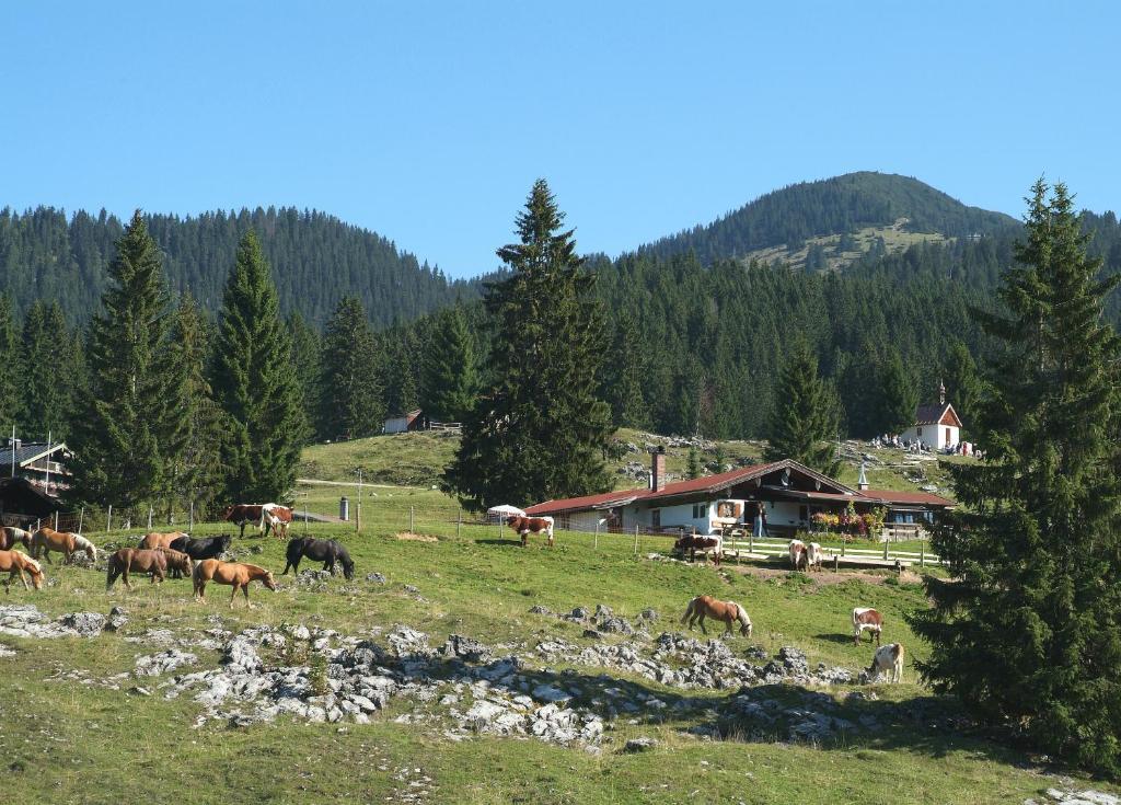 Gaestehaeuser Schwemmbauer Райт-ім-Вінкль Екстер'єр фото